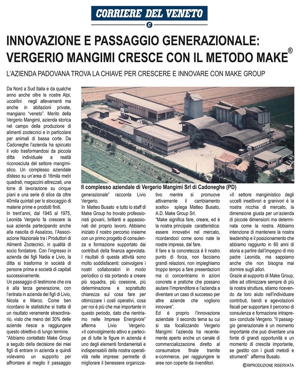 Deimos rassegna stampa make group